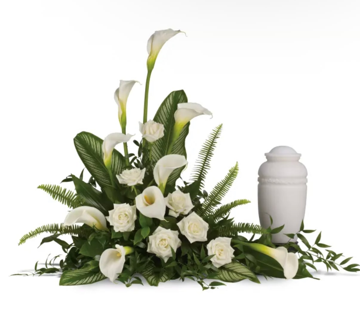 Stalely lilies - Pure white calla lilies and roses form a serene, sculpted sympathy arrangement that reads as a quiet gesture of comfort. Designed as a funeral or memorial centerpiece, this flower arrangement and its formal silhouette send a respectful, consoling message for the person you're thinking of without words.  A low, spreading composition sits in a white urn, densely clustered at the base with several calla stems rising above to create graceful height. Lush fern and broad-leaf greenery cradle the blooms, the contrast of glossy green with ivory petals emphasizing clean lines and a restrained elegance. The mix of smooth calla trumpets and soft rose petals gives subtle textural interest while keeping the palette pure and calming.  Perfect for a graveside service, visitation, or as a thoughtful "thinking of you" gift to a grieving family, this design is meant to soothe and honor. The compact footprint makes it suitable for placement on memorial tables; care is simple-keep water fresh and in a cool spot away from direct sun to preserve the blooms for the days that matter.