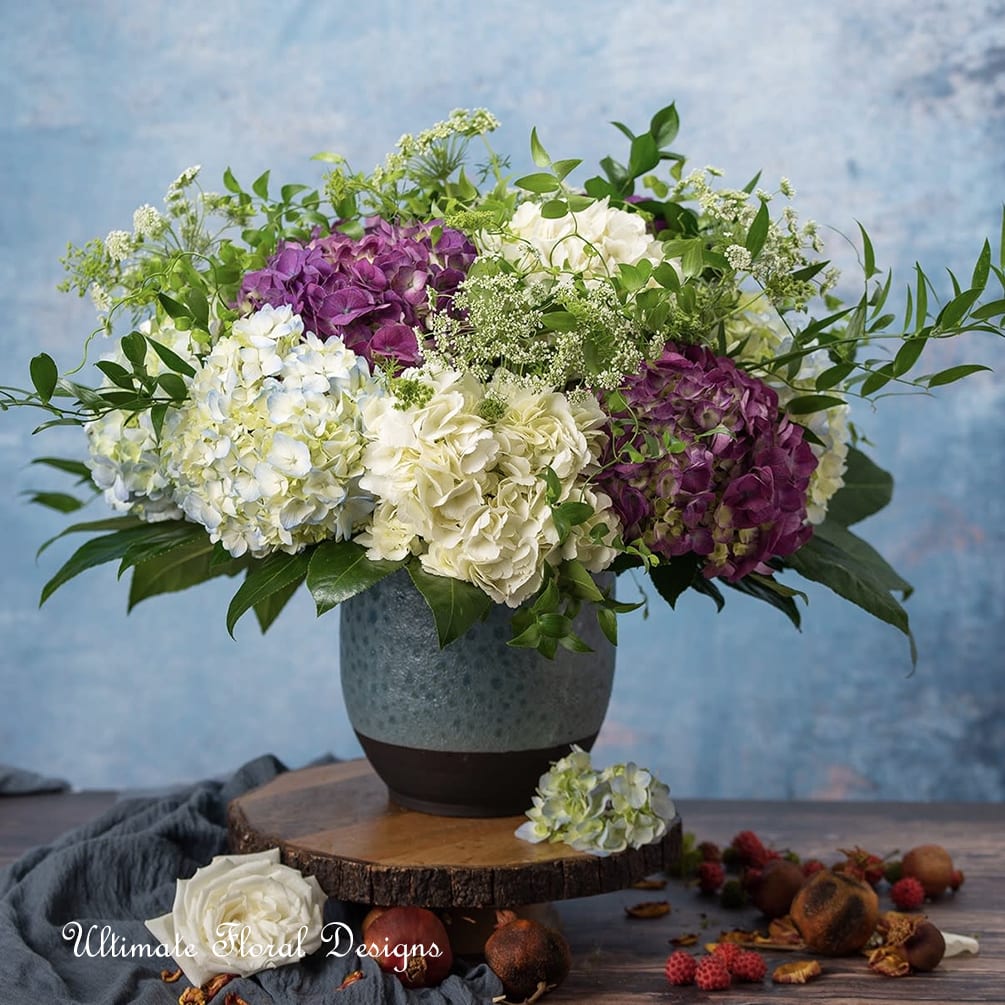 Hydrangea arrangement in a ceramic vase with white and purple blooms