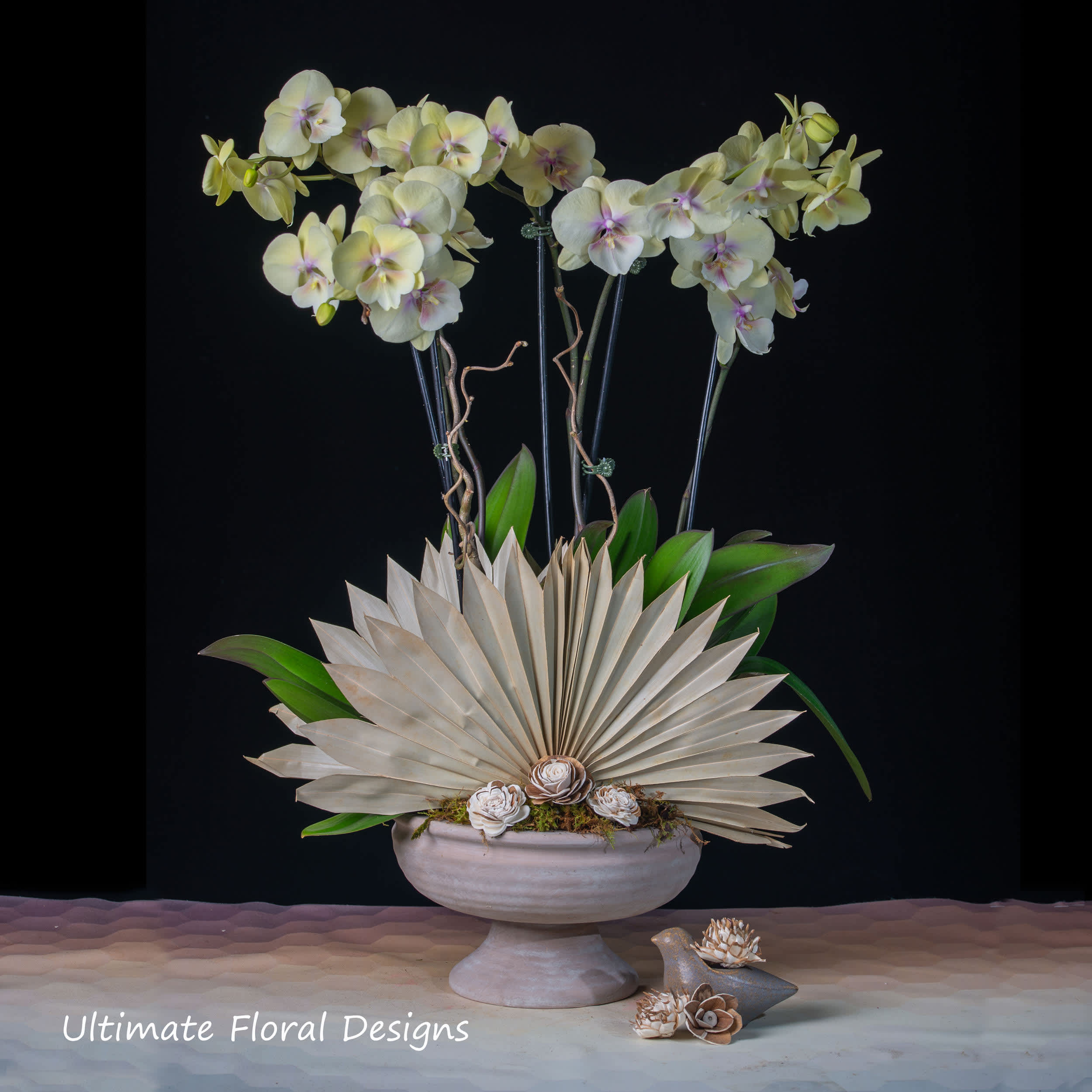 White orchids in a pedestal bowl with a fan-shaped dried leaf accent