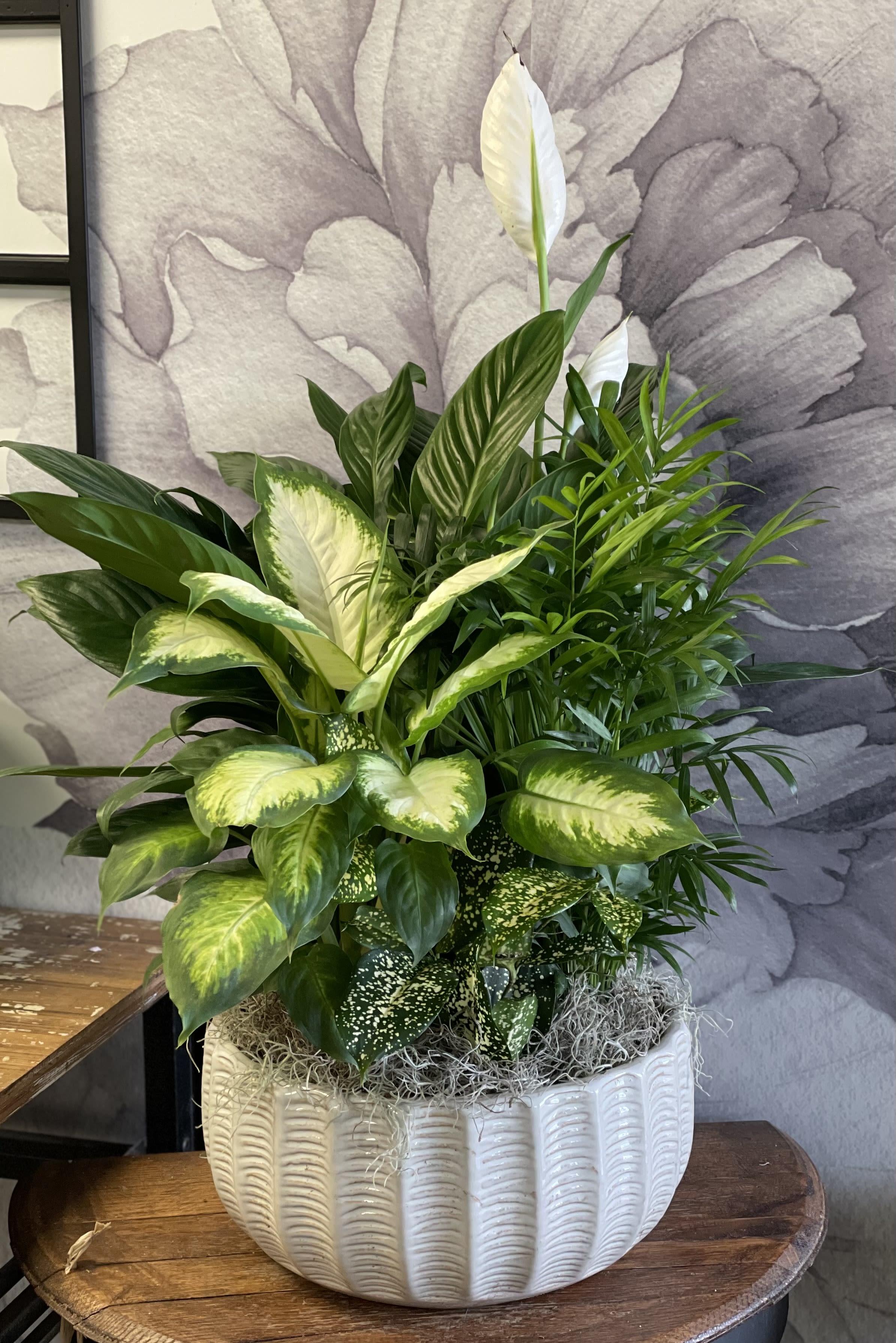 Mixed green houseplants in a white ceramic planter with white blooms