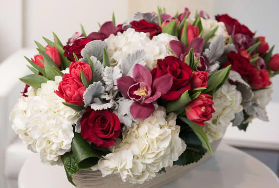 Ruby - Puffy white hydrangea with crimson blooms.