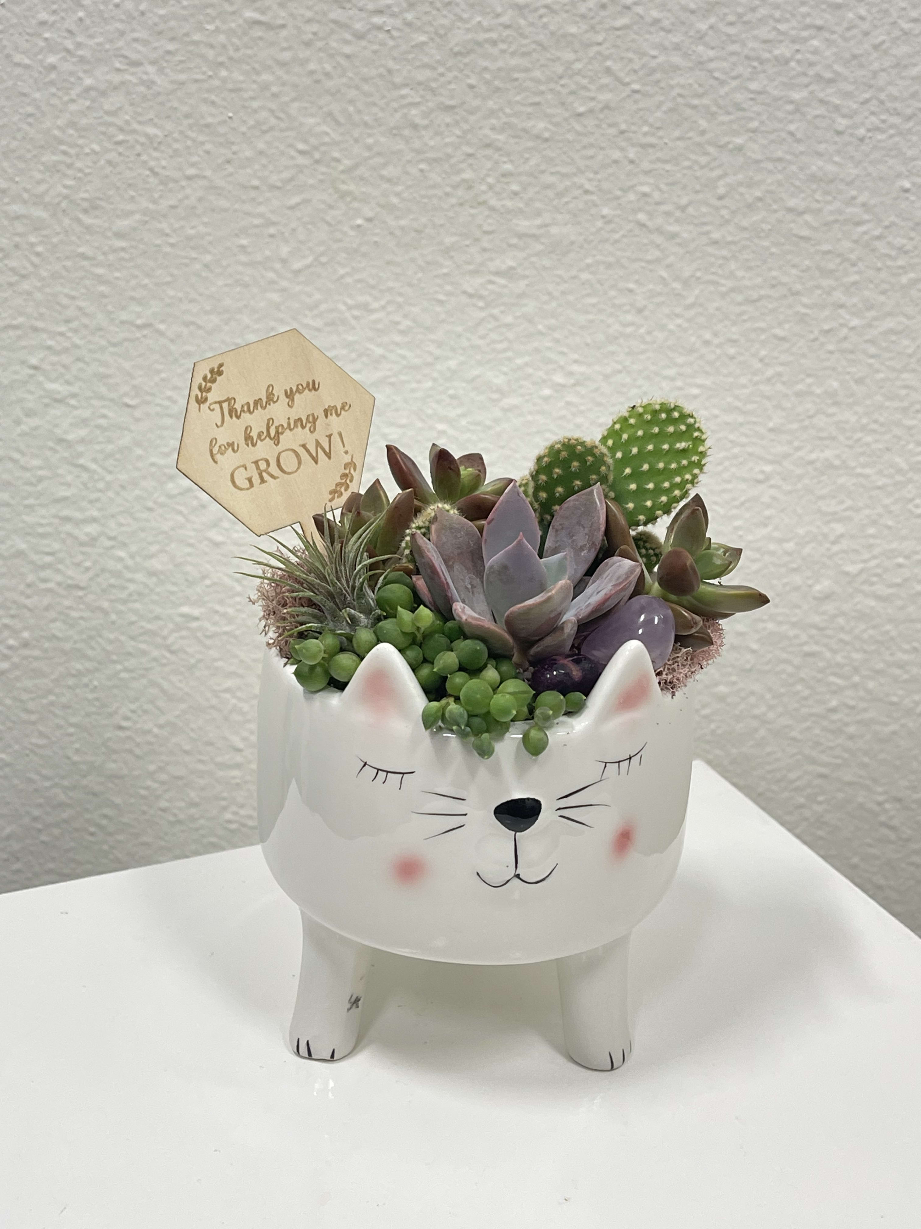 Purrfect! - Sweet succulents in a cat ceramic