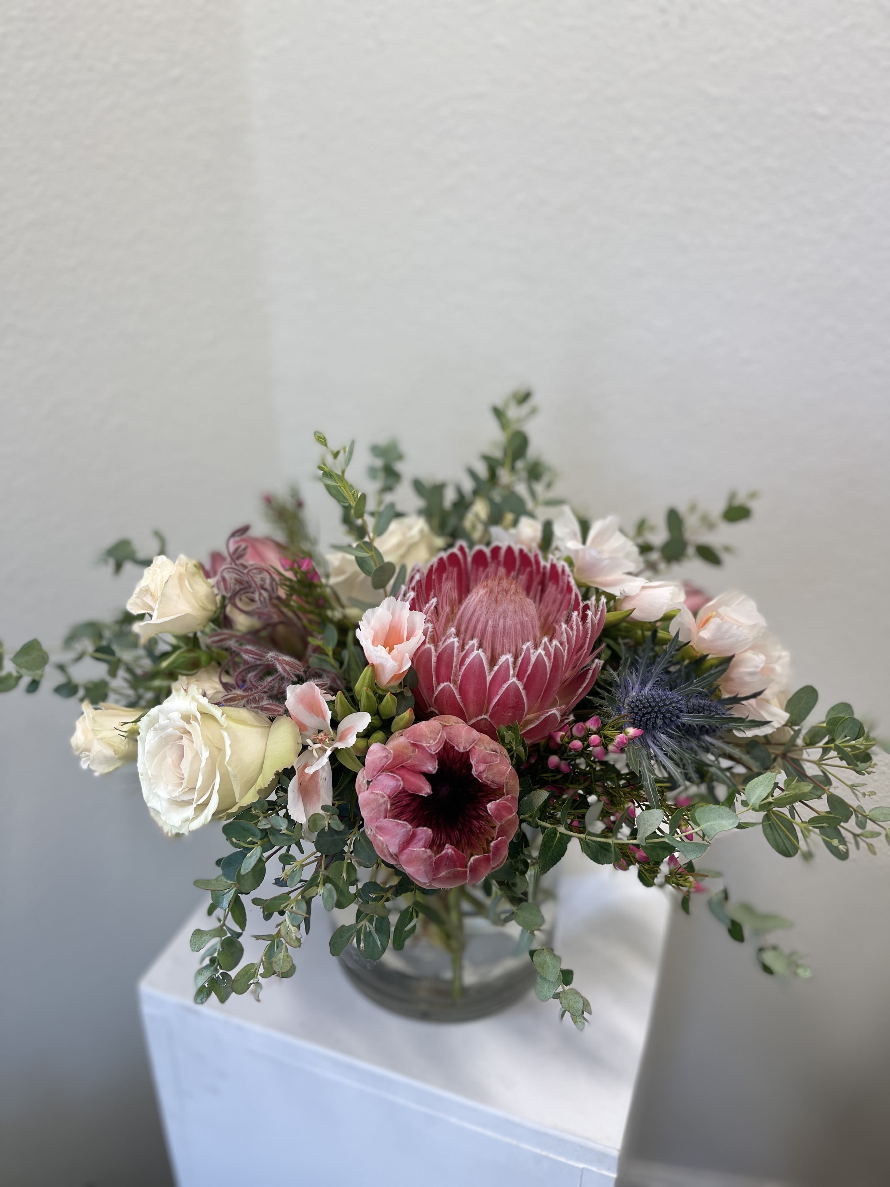 Fallbrook Fields - Local proteas and eucalyptus 