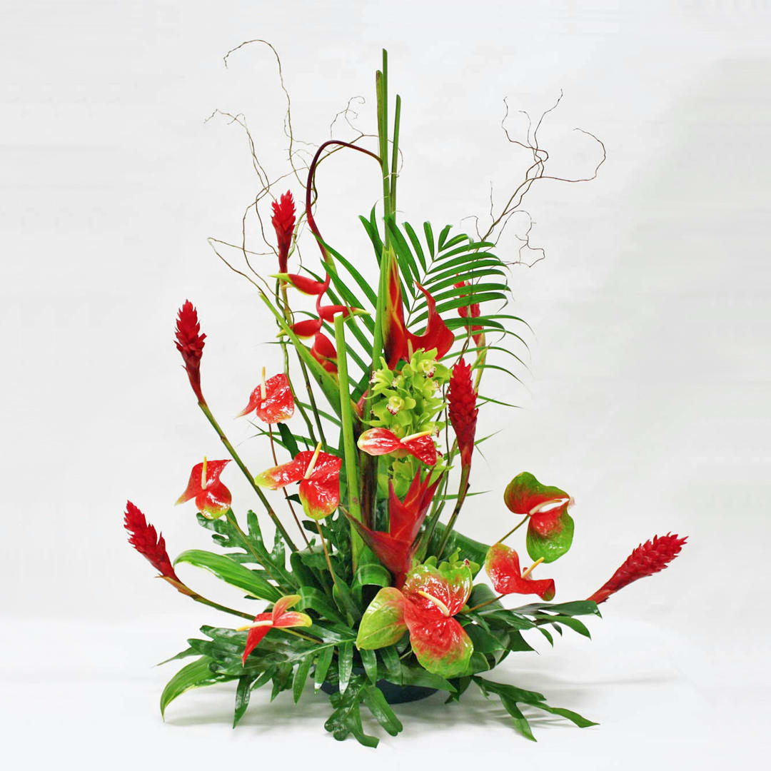 Tropical Forest (New Item) - Celebrate a grand occasion with our exquisite tropical arrangement, featuring popular tropicals such as heliconia, ginger, anthurium, and monstera. This stunning display is perfect as a gift for a grand store opening, conveying warmth and best wishes with its vibrant and luxurious tropical blooms.  Key Features:  Popular Tropicals: Includes heliconia, ginger, anthurium, and monstera, showcasing the bold colors and unique textures of tropical flora.  Luxurious Presentation: Designed to impress with its size and opulent selection of tropical blooms, making it a standout gift for special occasions.  Ideal for Grand Openings: Perfect for celebrating milestones like grand store openings, symbolizing prosperity and success.  Elegant and Dramatic: Crafted in a grand and dramatic style, ensuring a memorable and impactful display.  Symbol of Celebration: Represents joy, celebration, and admiration, making it a meaningful gift to mark significant achievements.  Elevate the atmosphere of any event with our Grand Tropical Arrangement, a magnificent expression of tropical beauty and sophistication, guaranteed to leave a lasting impression on recipients and guests alike.