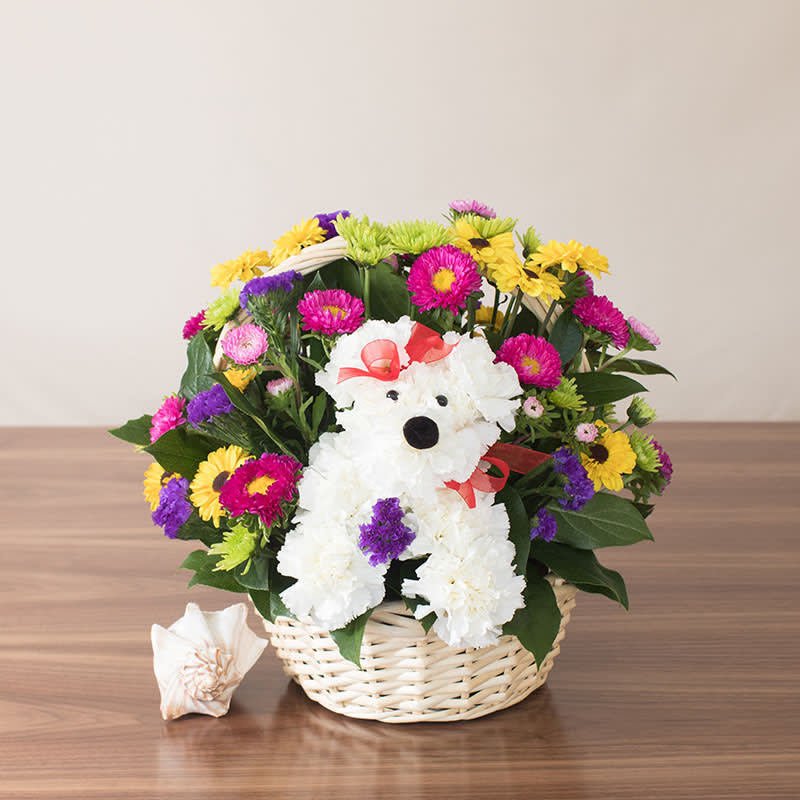 Basket arrangement of colorful daisies with a white carnation dog figure and red bow on a wooden table
