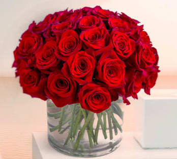 Love me Tender: beautiful red roses  - Low and Lush collection of 30 stems of our nicest red roses in clear vase.