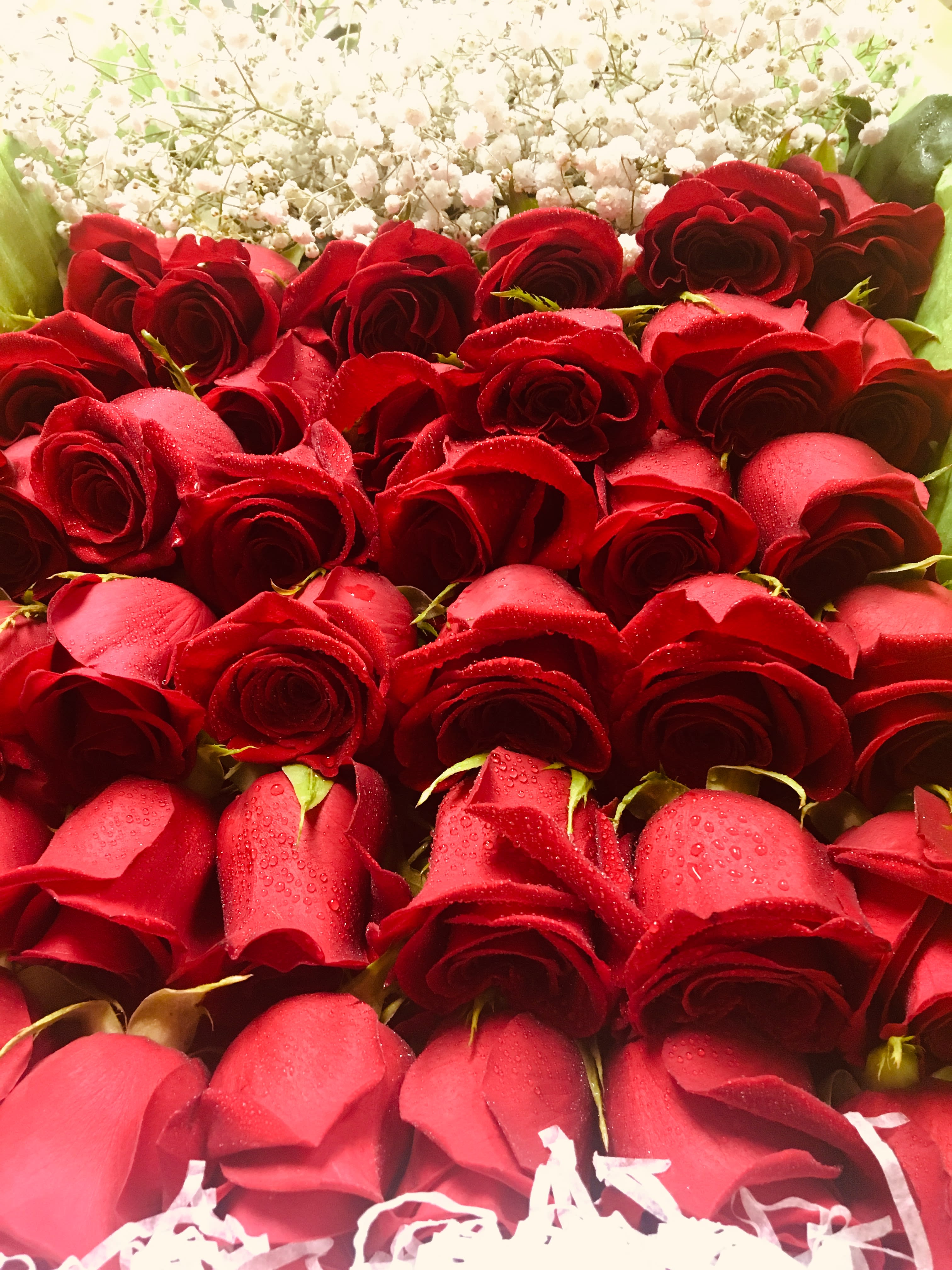 Red 24: 24 Long stem Red Roses - 24 Long stem red roses with greenery and filler topped by a beautiful bow.