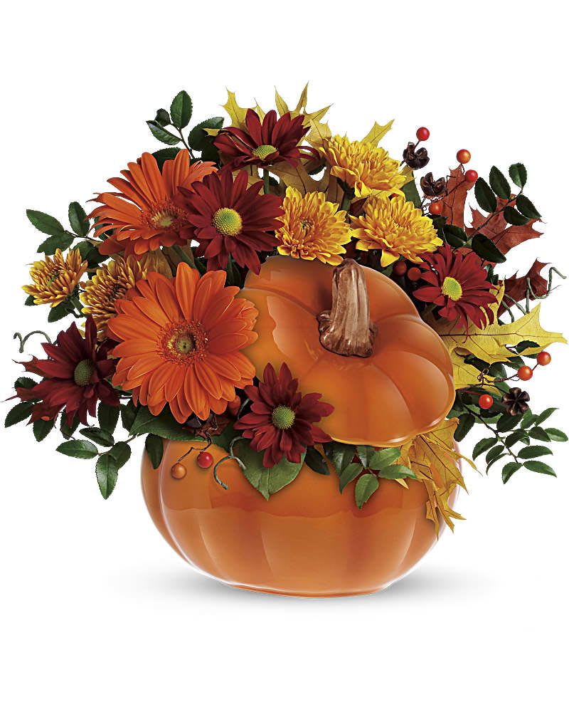 Country Pumpkin Bouquet - This pumpkin is sure to please! Send your special someone fall flowers and a keepsake gift with this reusable ceramic pumpkin arrangement. The fun Halloween decoration or spirited fall floral decoration for the home or office can later be used to serve Thanksgiving soup or stuffing! Orange gerberas, bronze cushion mums, red daisies, huckleberry and salal are accented with yellow oak leaves and artificial fall berries. Presented in a reusable ceramic pumpkin container. Orientation: One-Sided