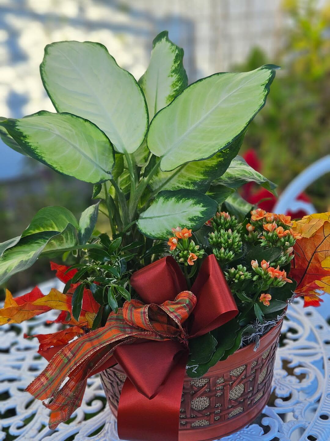 Potted plant arrangement with large variegated leaves and small orange blooms in a basket