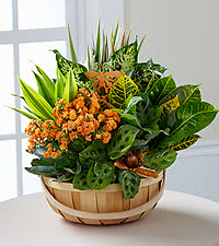 Orange flowers in a wooden basket with tropical leaves