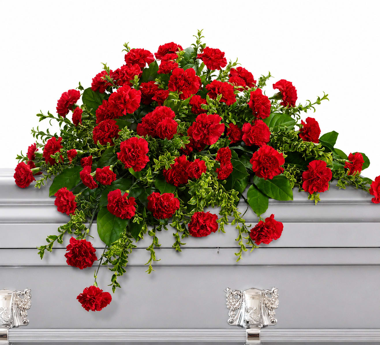 A Final Tribute of Love Casket Spray - A long, formal red carnation casket spray laid across a silver casket makes an immediate, dignified statement of sympathy-the perfect funeral tribute to express deep love and respect. Designed for memorial services and remembrance, this traditional arrangement lets the person you're honoring feel seen and celebrated through a timeless display of red blooms.  Dense clusters of vivid red carnations form a full, cascading shape accented with mixed green foliage and touches of white for contrast. The spray is crafted to drape naturally over the casket, creating a polished, formal presentation whose rich textures and strong color read clearly from the chapel aisle. Sized and arranged for a full casket top, it offers a classic, solemn look appropriate year-round for funerals and memorial gatherings.