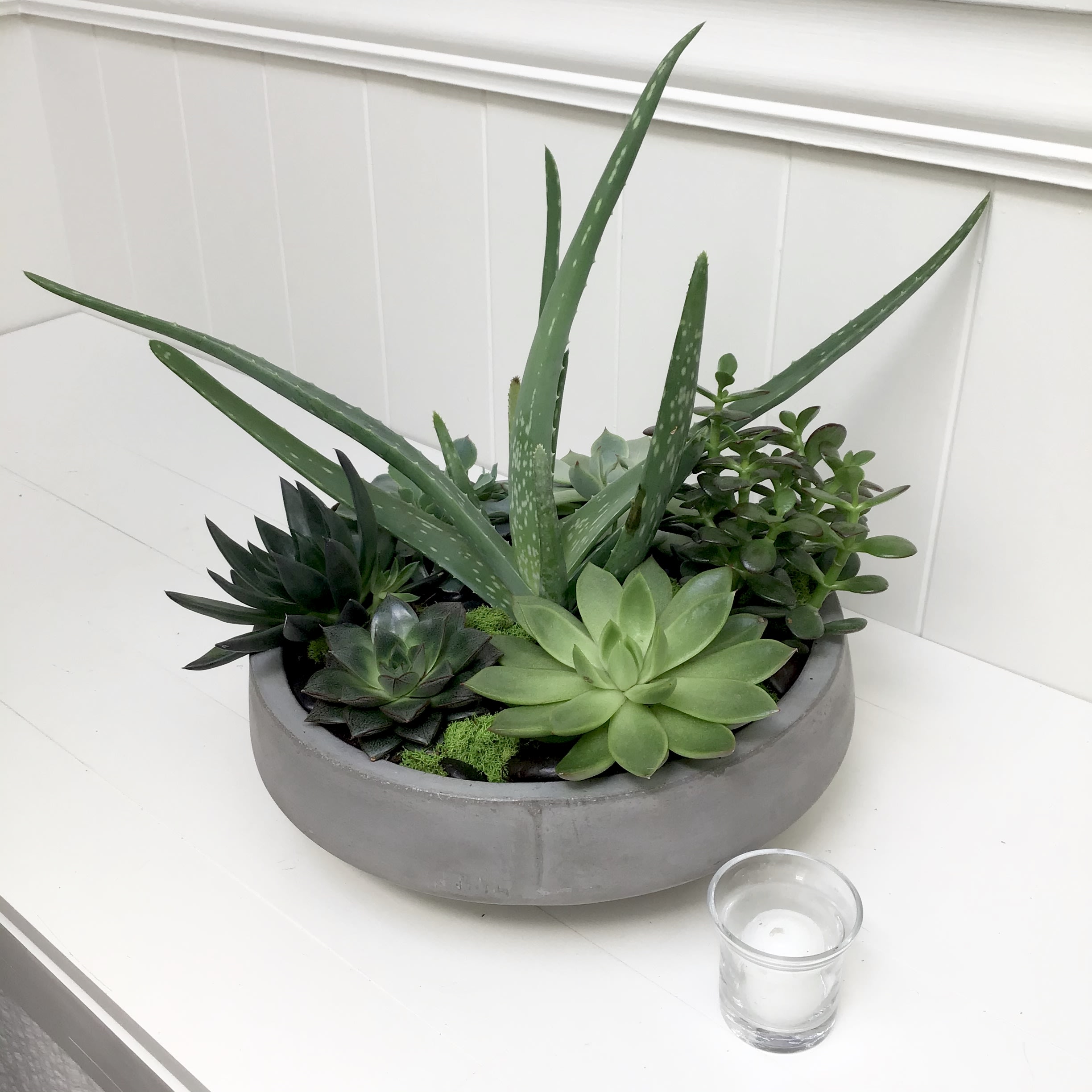 Succulent arrangement in a round gray planter with a small glass candle nearby