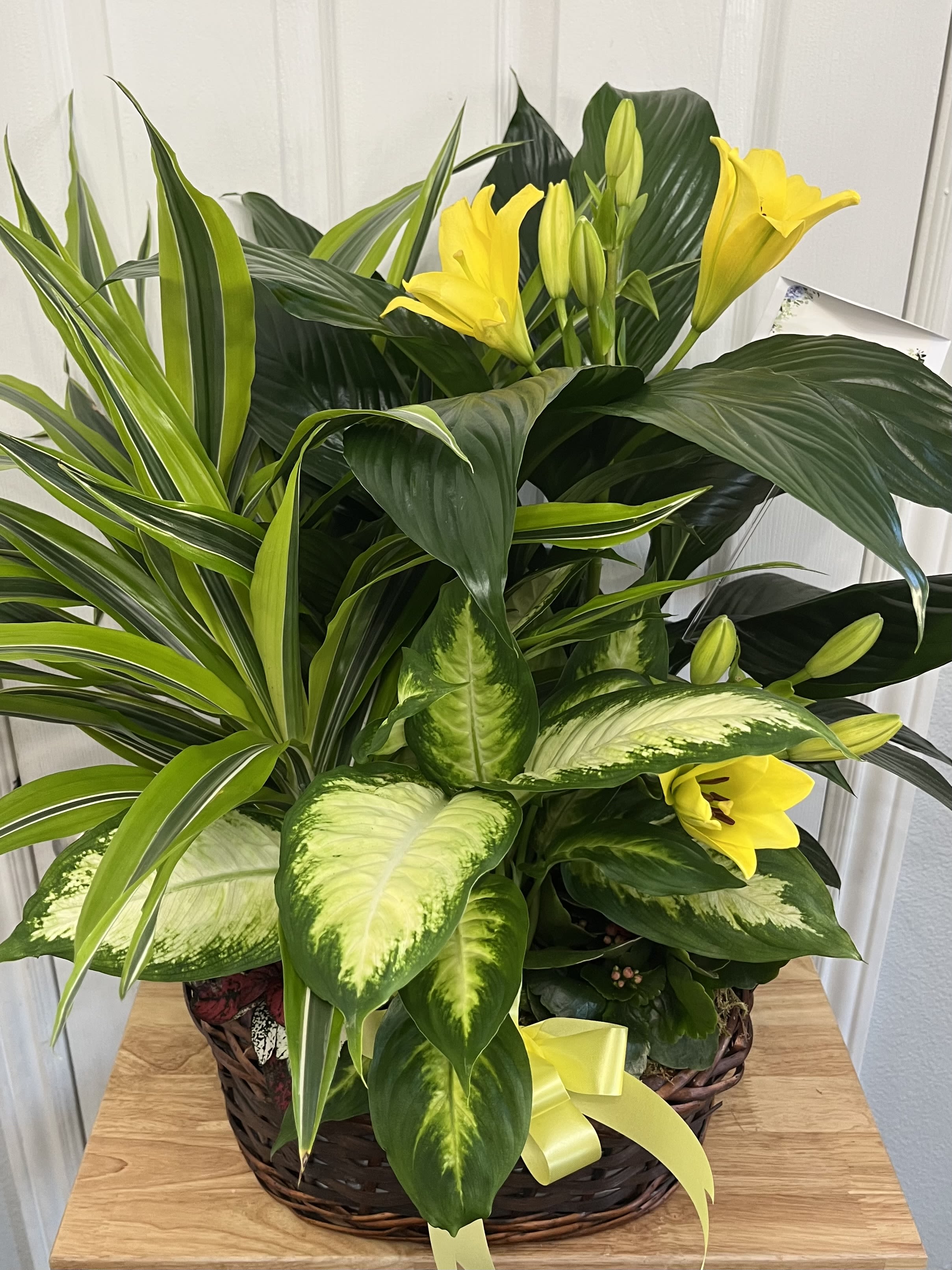 Basket arrangement of yellow lilies and assorted green foliage