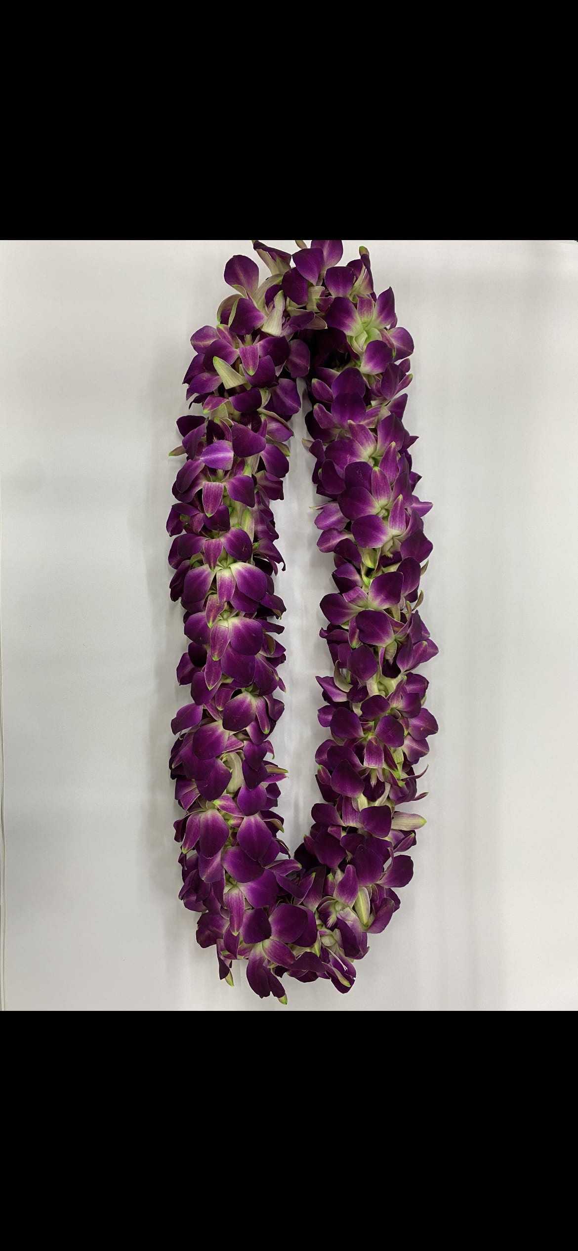 Purple orchid lei on a white background