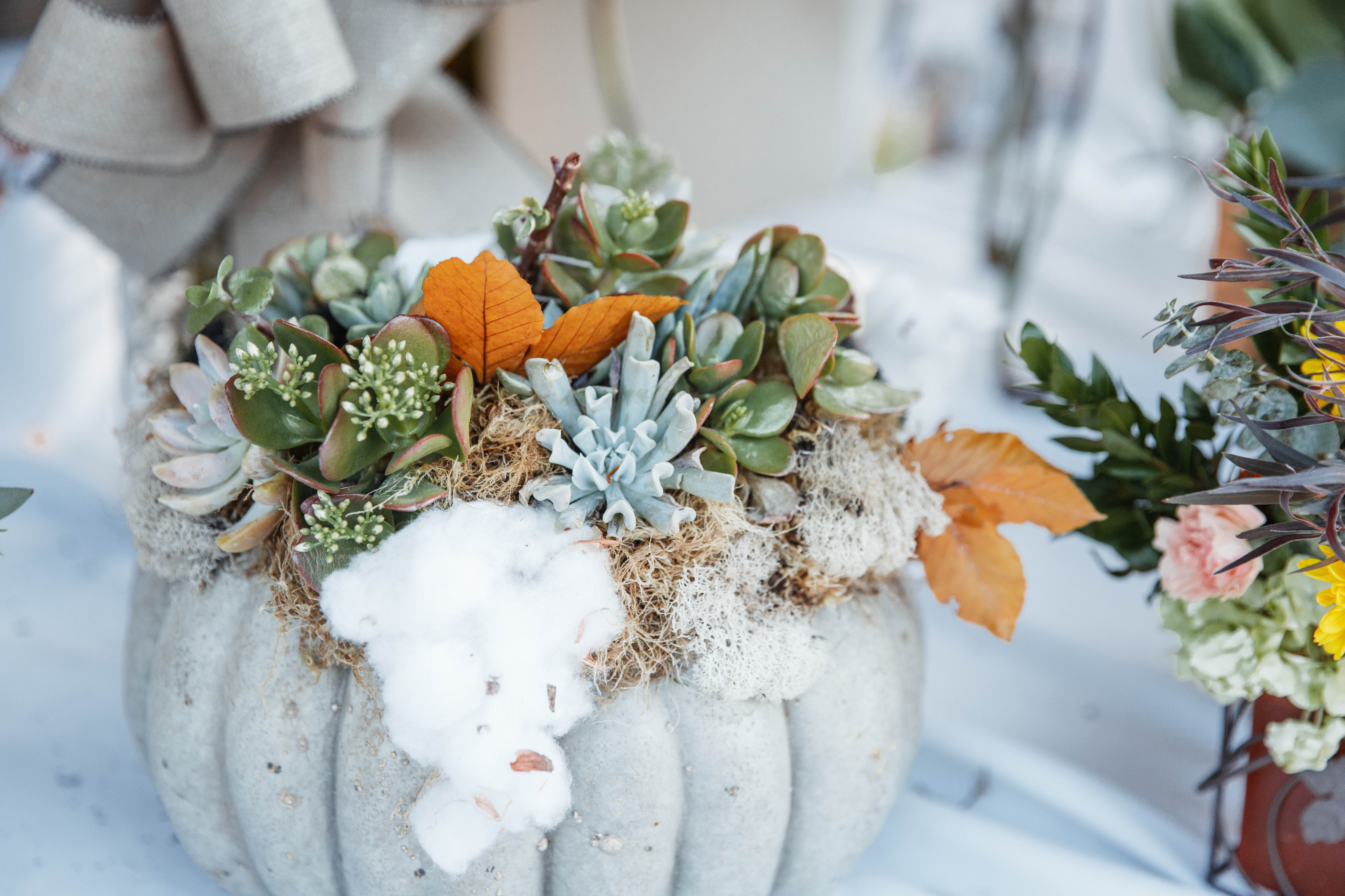 Succulent arrangement in a gray pumpkin container with orange leaves