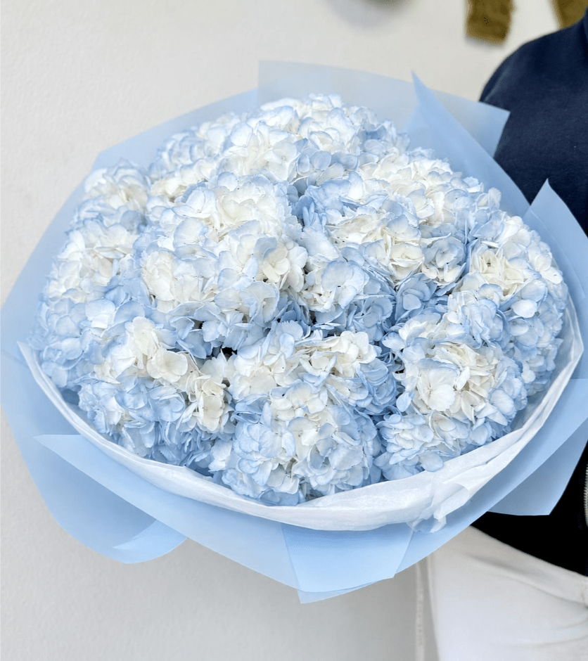 Bouquet of pale blue and white hydrangeas wrapped in light blue paper