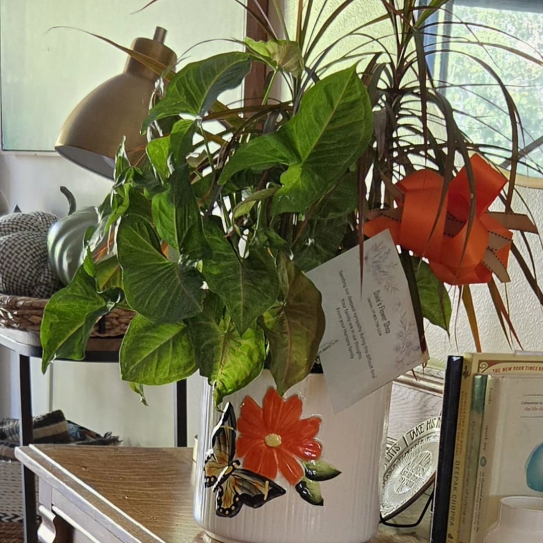 Potted houseplant in a white decorative container with an orange bow