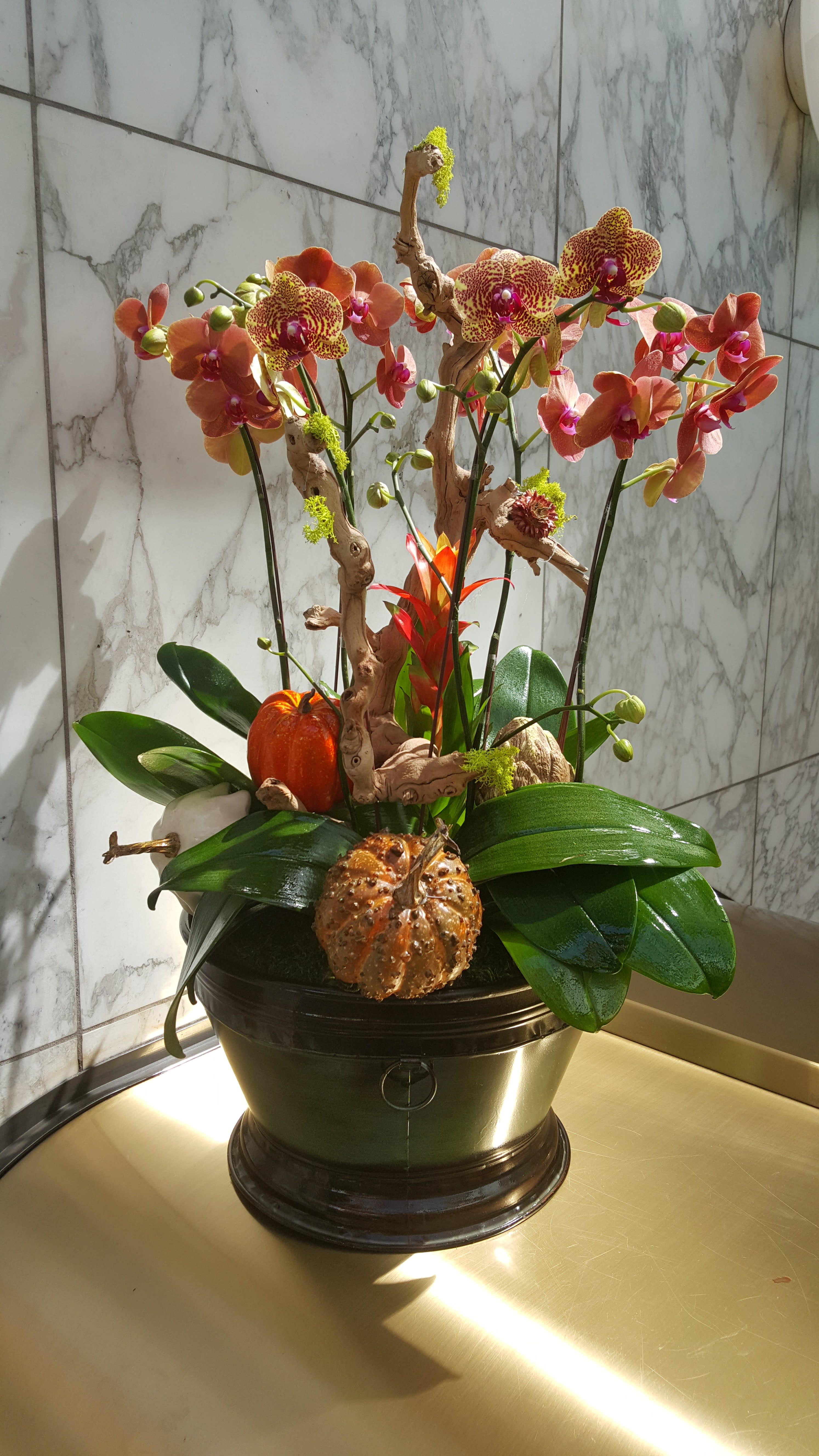Orchid arrangement in a black pot with decorative gourds and driftwood