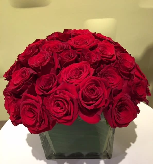 Red roses arranged in a square glass vase