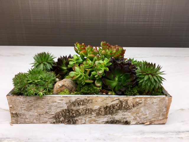 Rectangular planter filled with assorted succulents and moss