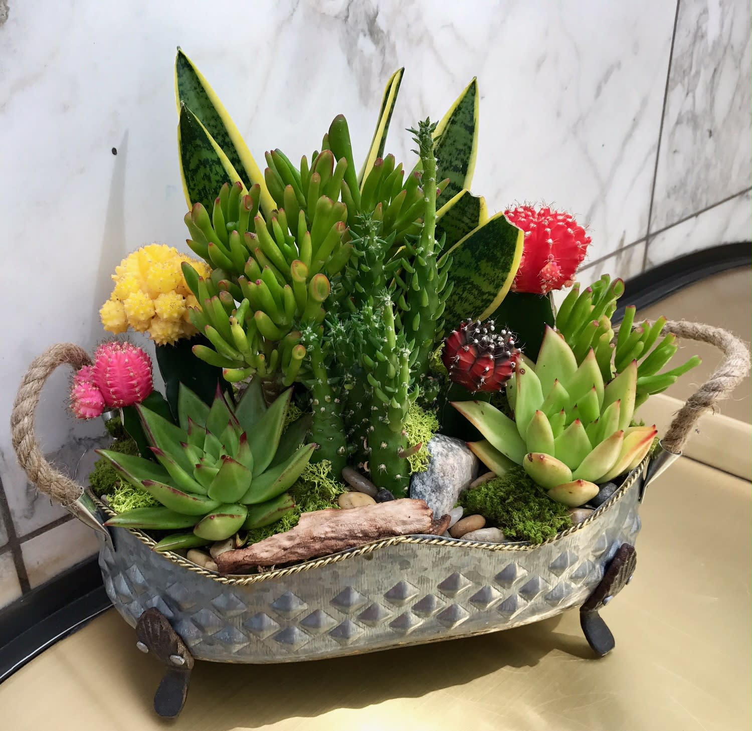 Succulent arrangement in a metal basket with colorful cactus accents