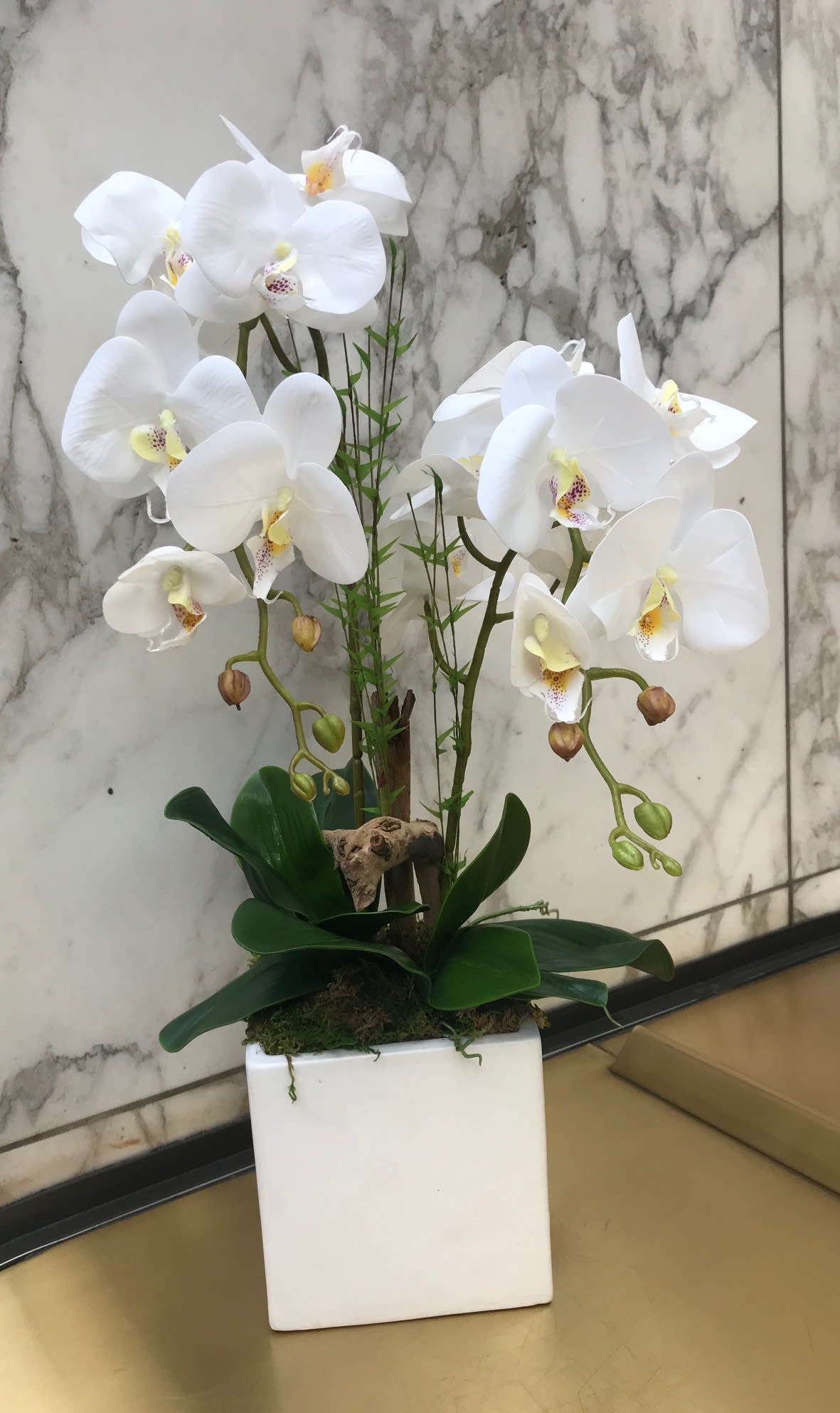 White orchids arranged in a square white planter