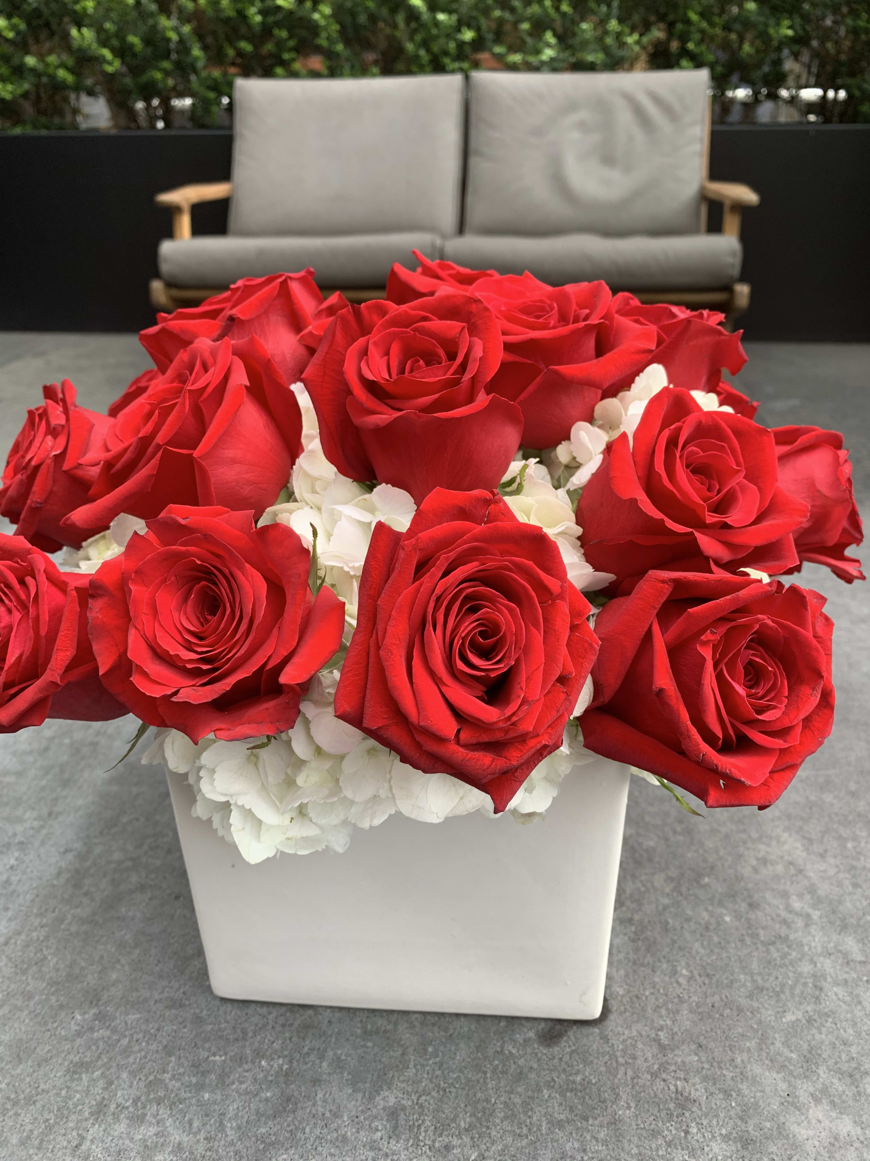 Red roses arranged in a white square vase with white hydrangeas