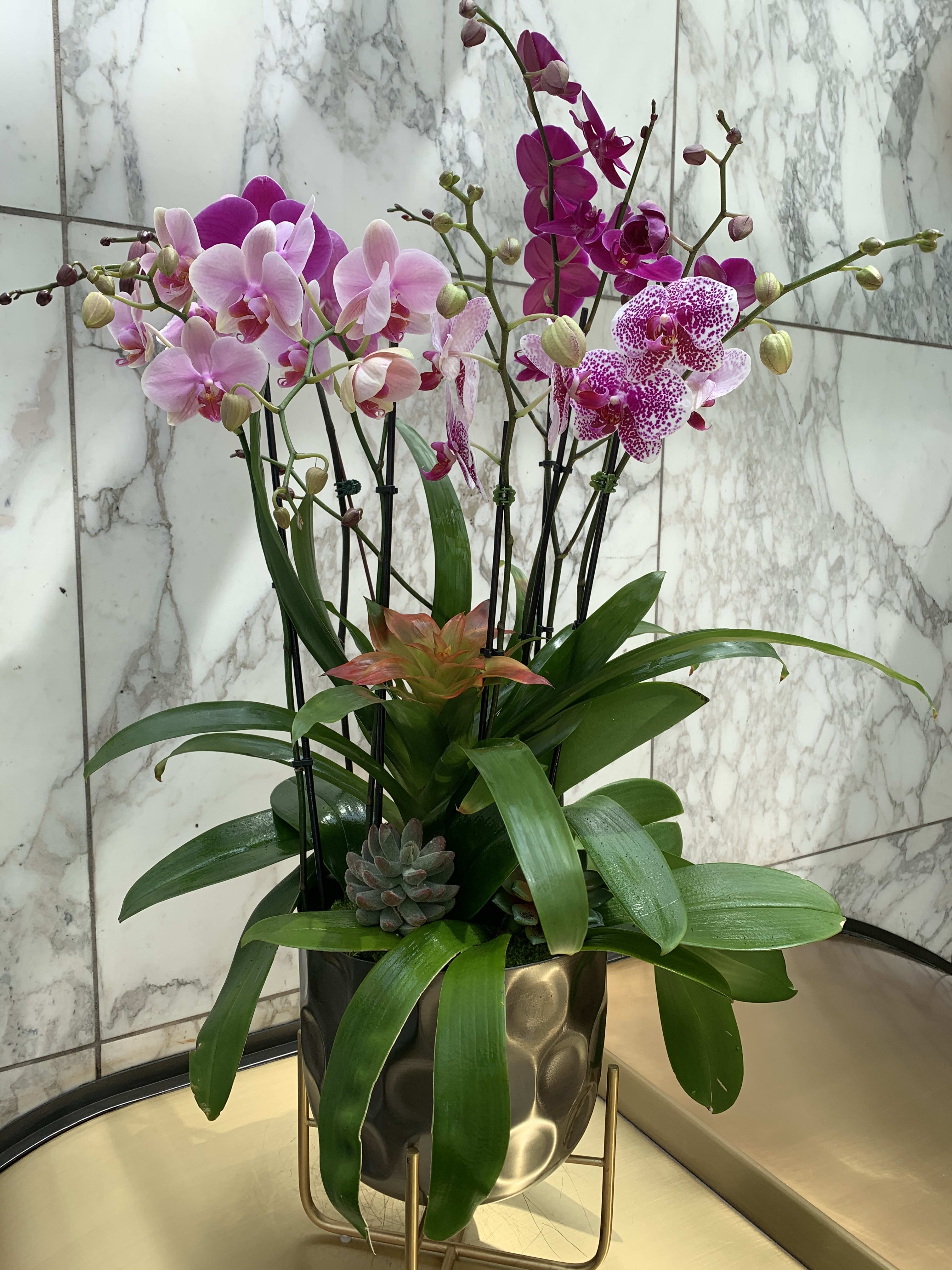 Pink and magenta orchids arranged in a metallic pot with succulents