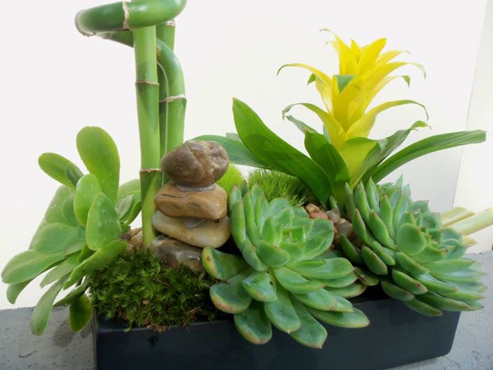 Succulent arrangement with bamboo stalks and a yellow bromeliad in a rectangular planter