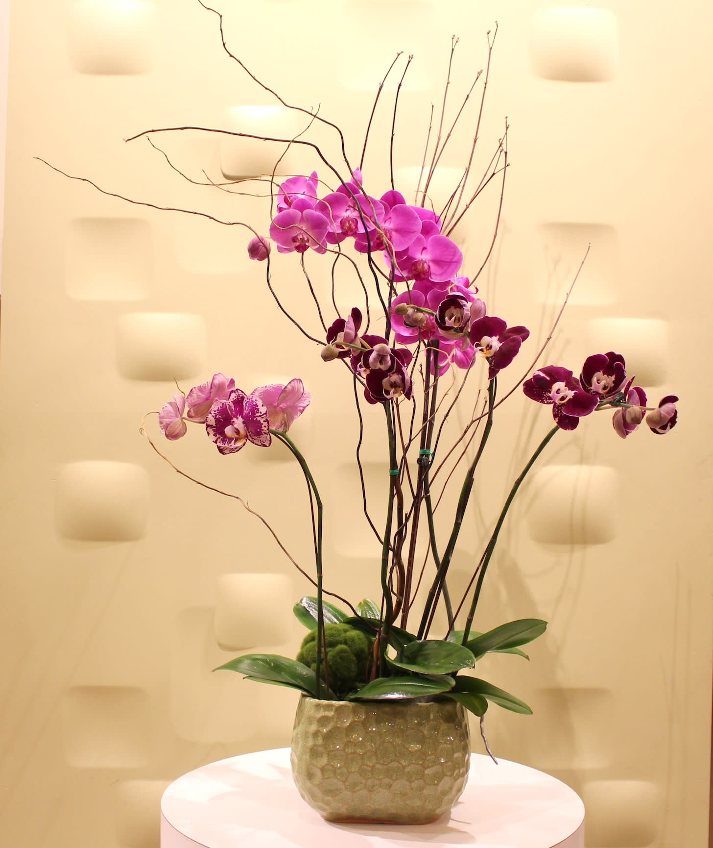 Tall orchid arrangement in a textured ceramic pot