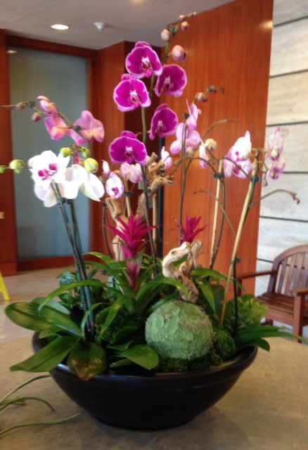 Orchid arrangement in a black bowl with pink and white blooms