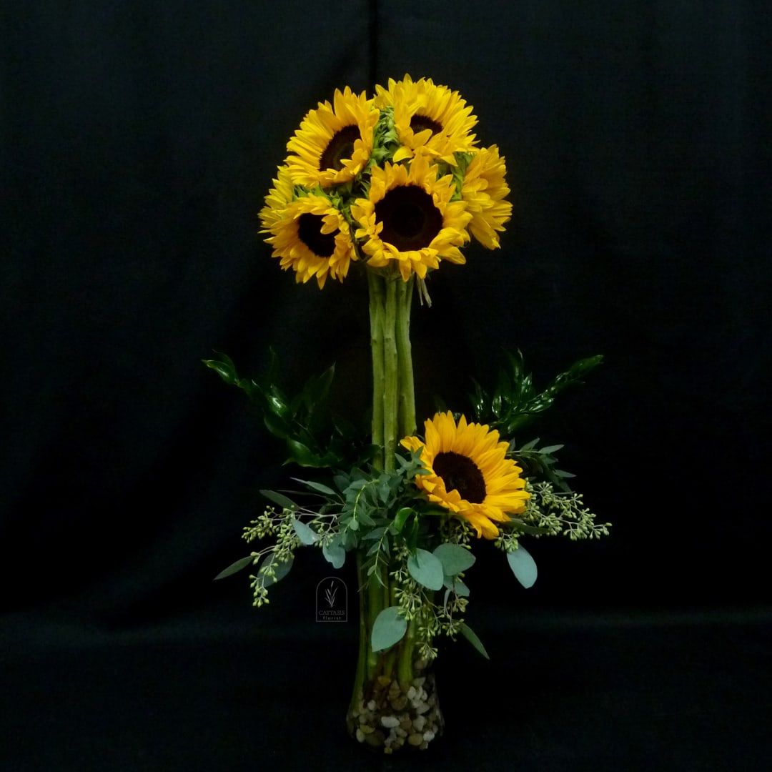 Tall sunflower arrangement in a clear vase with greenery and pebbles