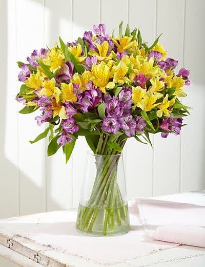 Bouquet of yellow and purple alstroemeria in a clear glass vase