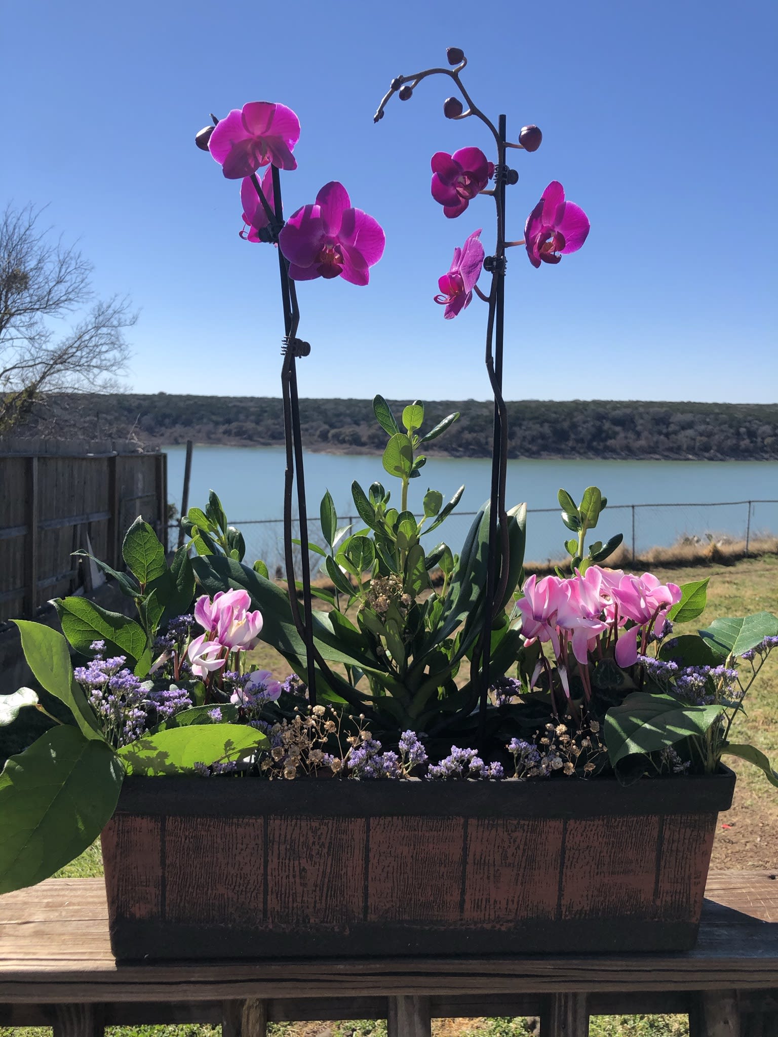 Pink orchids arranged in a rectangular planter with greenery