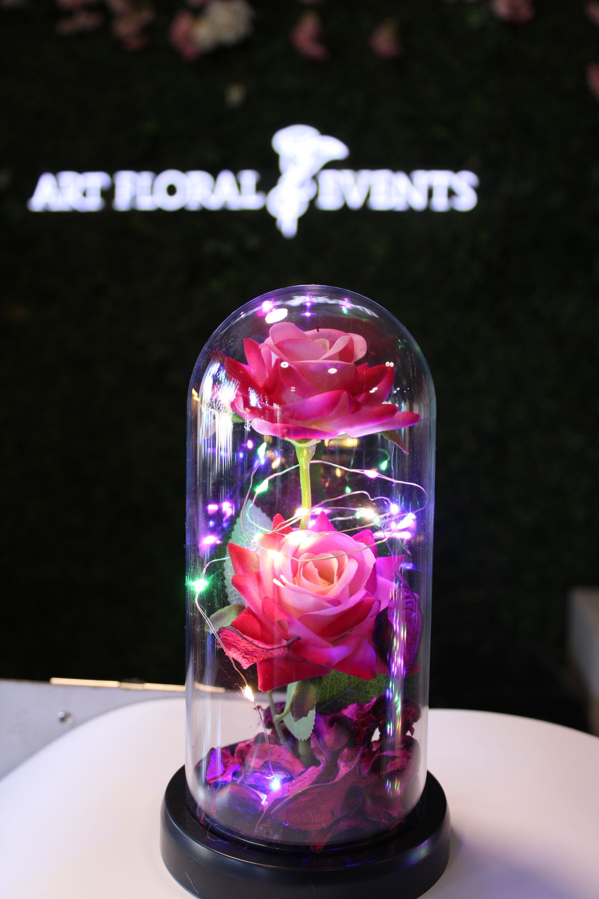 Two pink roses under a glass dome with string lights