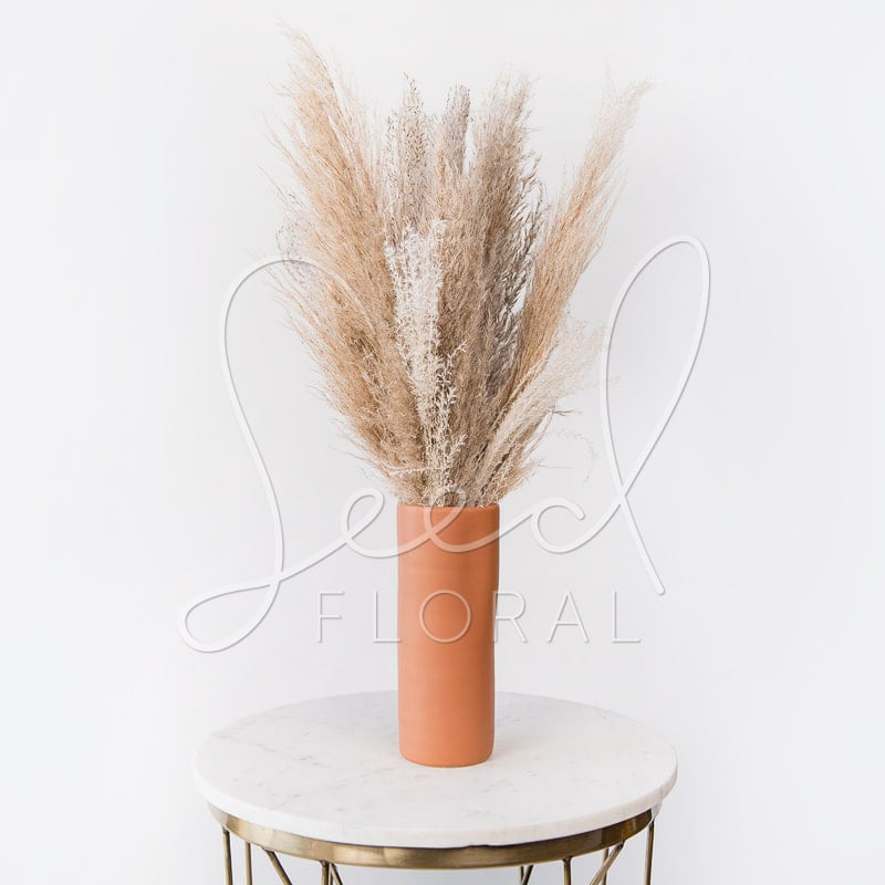 Tall dried pampas grass in a terracotta vase on a round table