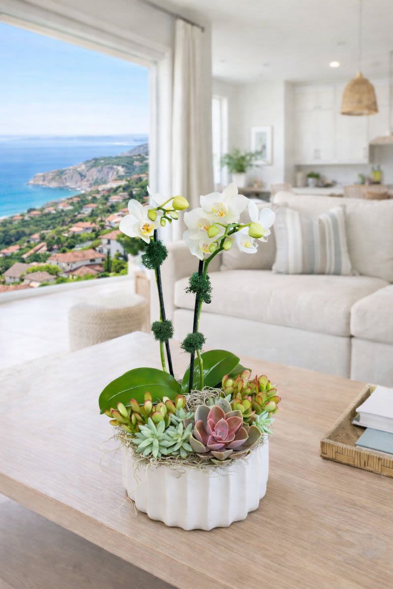 Succulent arrangement with white orchids in a white ceramic pot