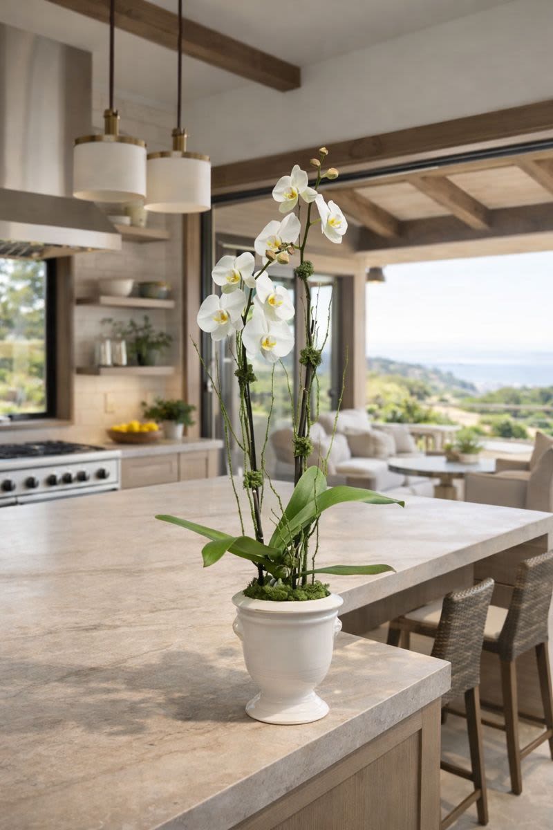 White orchid arrangement in a white pedestal pot on a kitchen island