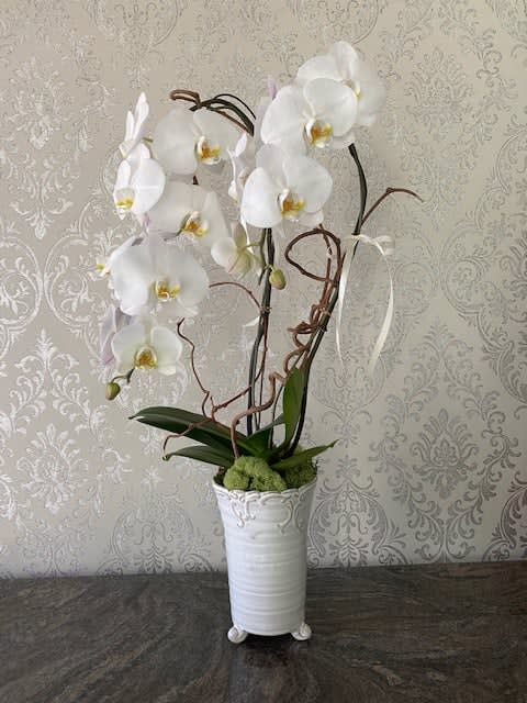 White orchid arrangement in a tall white vase