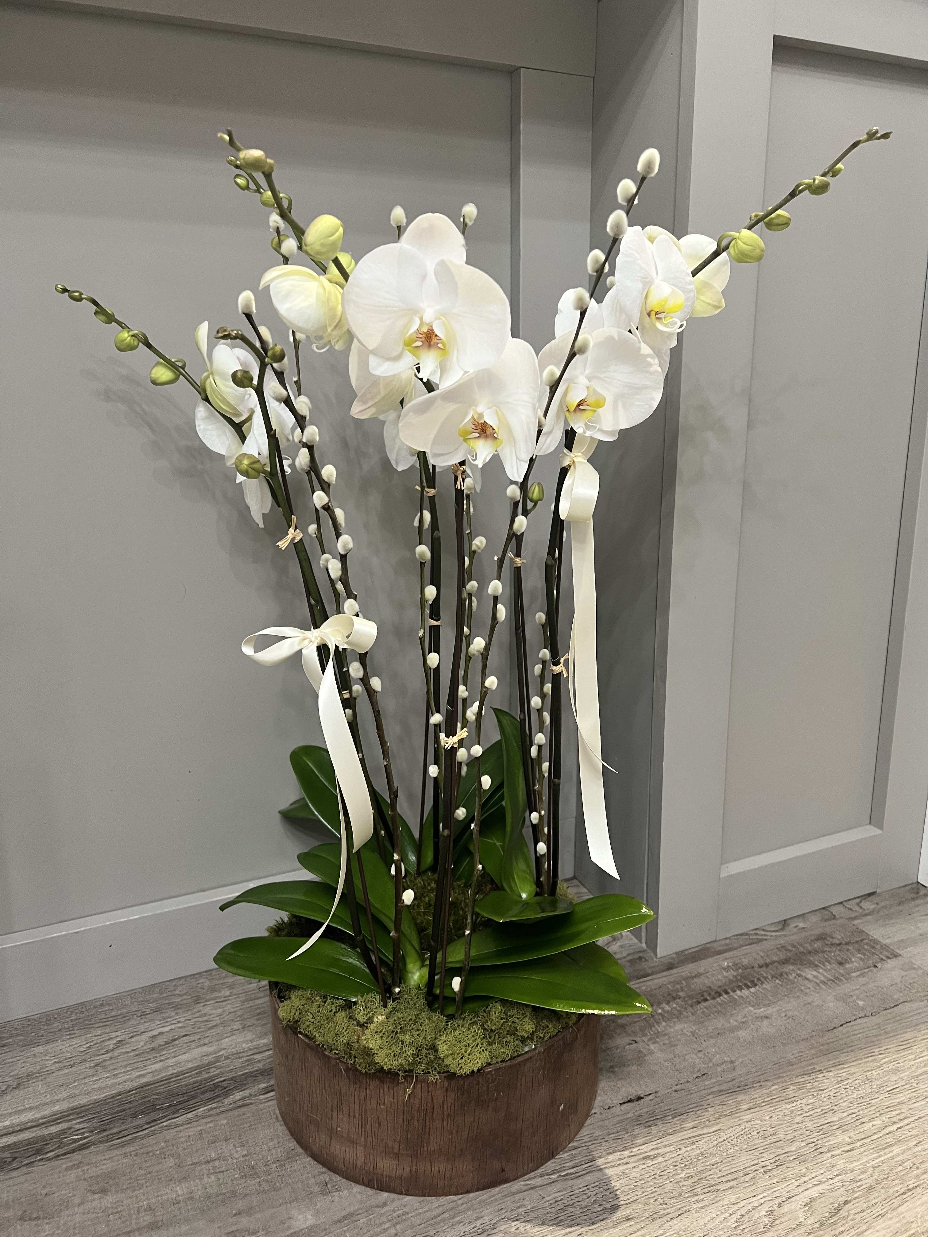 Tall white orchid arrangement in a wooden container with ribbon