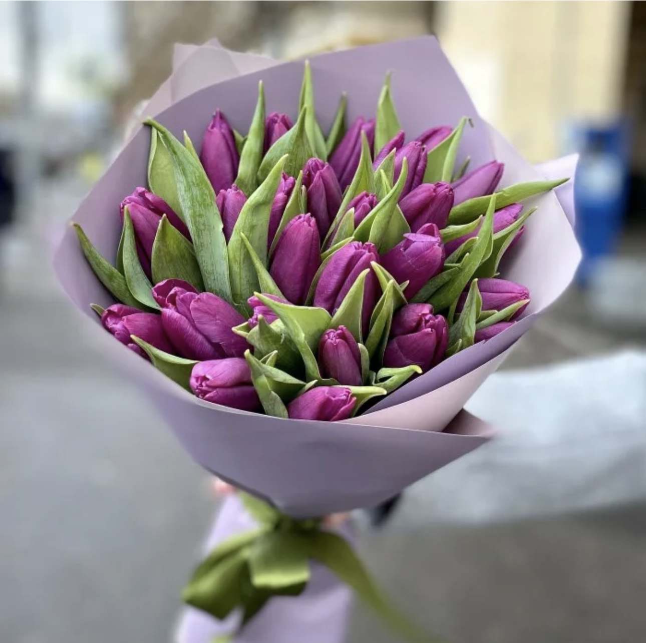 Bouquet of purple tulips wrapped in lavender paper