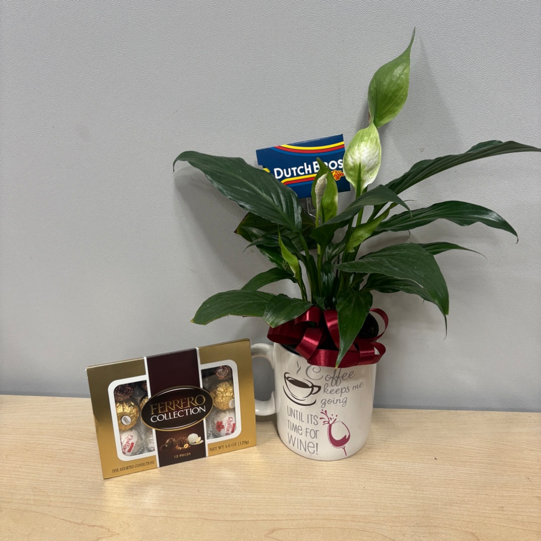 Potted peace lily in a coffee mug with a ribbon and chocolates beside it