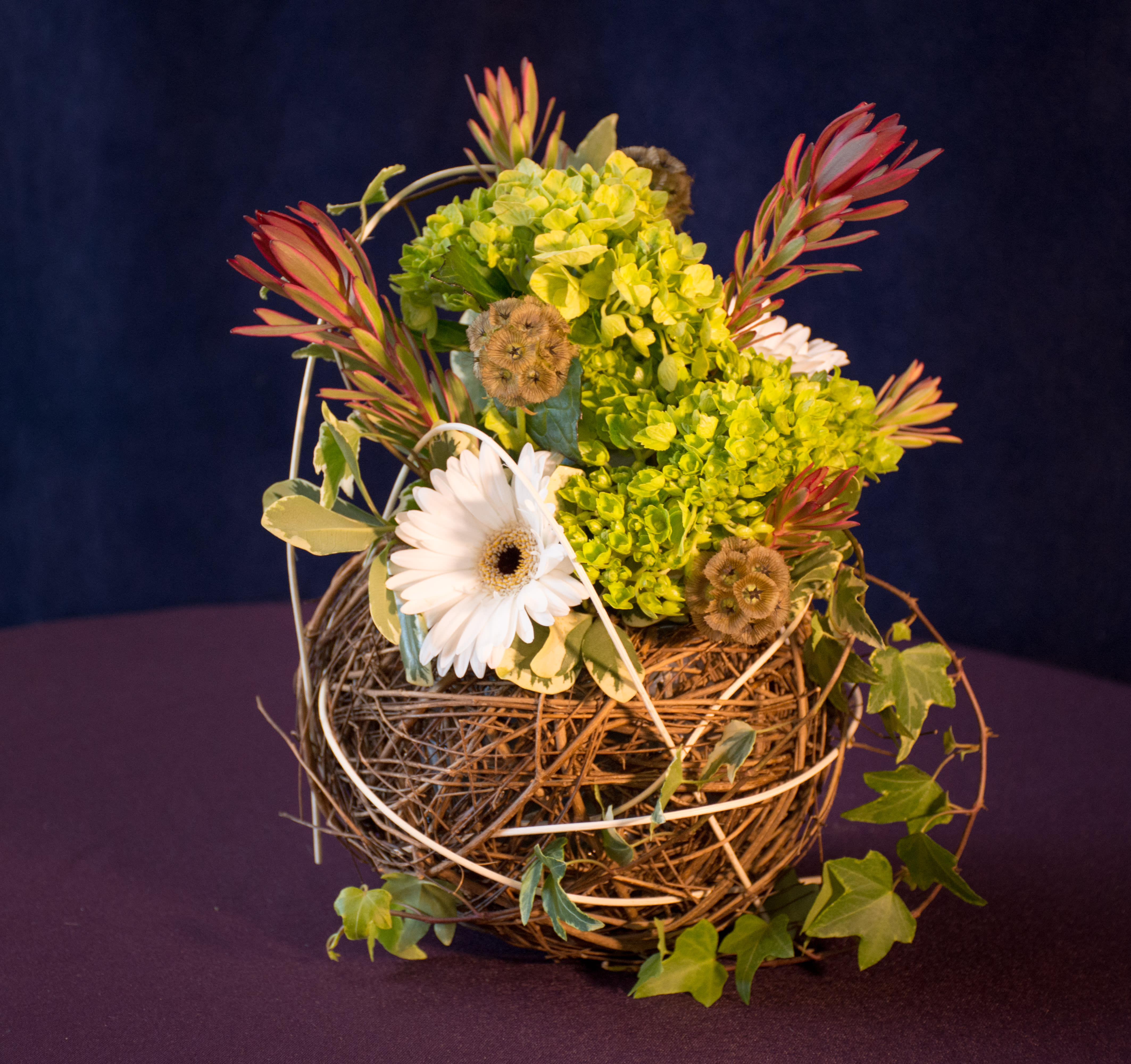 Delight - With this whimsical delight you are almost looking for the bird to fly out. The perfect little gift for your country loving friends.   