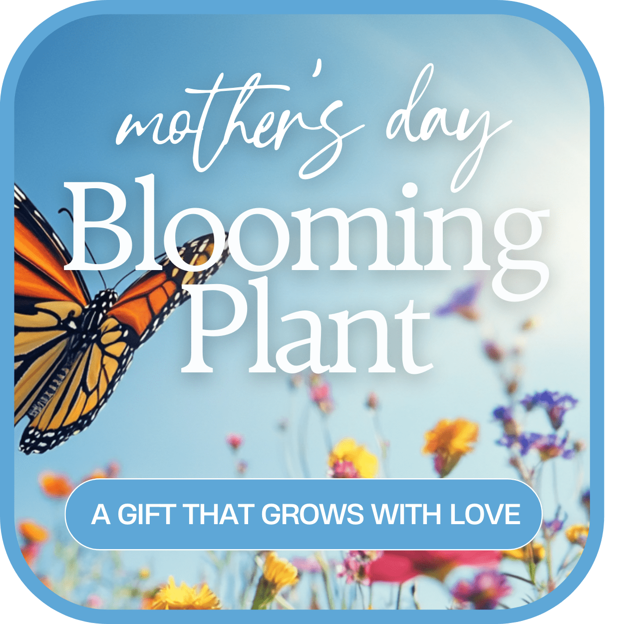 Mother's Day blooming plant gift card with butterfly and flowers