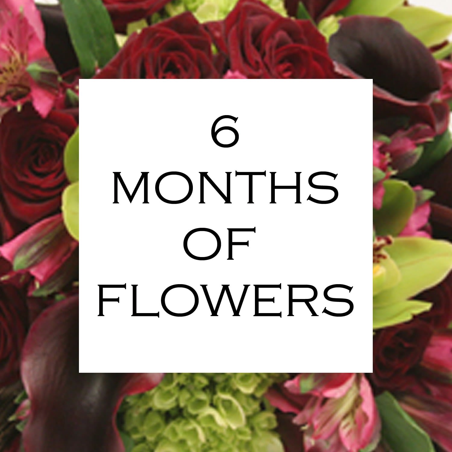 6 Months of Flowers - Special friends, family and colleagues deserve unique expressions of affection and gratitude. That is why we've created an easy way for you to give them something special. Your recipient will receive a beautiful mixed arrangement of fresh seasonal blooms once a month for 6 months. Choose from 3 sizes/price points below. Six or twelve month programs also available.  Standard - 4" cylinder vase with a lush mix of seasonal blooms. Measures approximately 7"-8" tall an 7" wide.  Deluxe - 5" cylinder vase with a lush mix of seasonal blooms. Measures approximately 10" tall and 10" wide.  Premium - 6" cylinder vase with a lush mix of seasonal blooms. Measures approximately 12" tall and 12" wide  PLEASE NOTE: Price includes delivery. Due to the way our shopping cart is set up, there will be a small delivery charge added upon check out but this has been taken into consideration and has been adjusted in the item price.