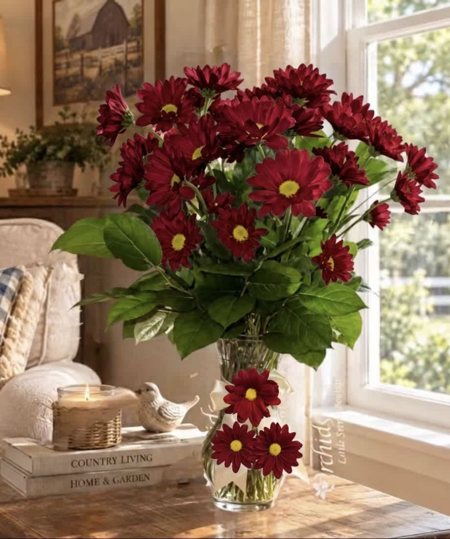Red daisy bouquet in a clear glass vase on a table