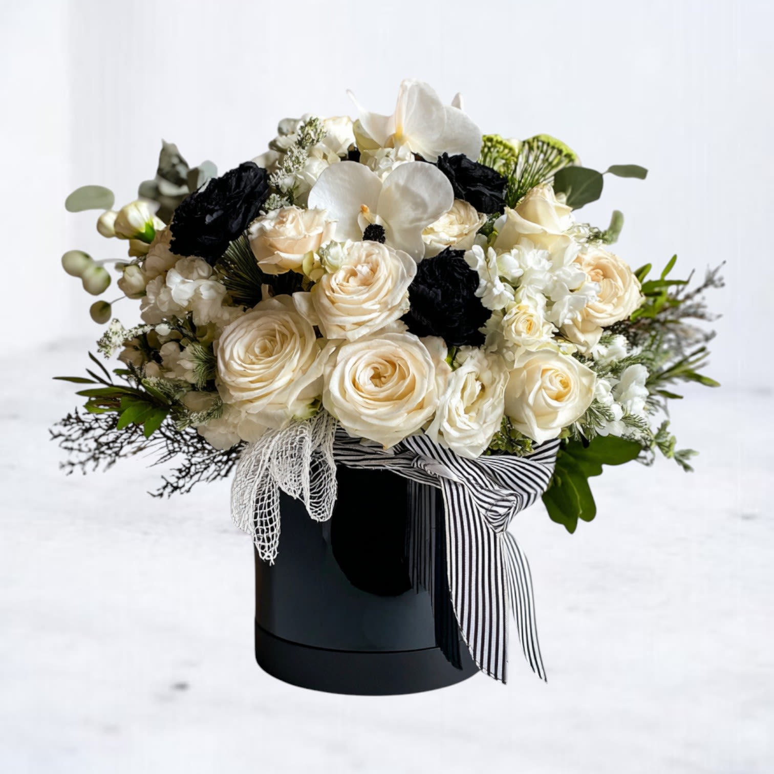 Round arrangement of ivory roses and white orchids with black blooms in a black hatbox with striped ribbon.