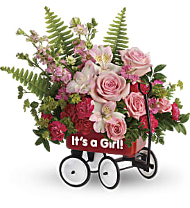 Pink and red mixed flower arrangement in a small red wagon container labeled 'It's a Girl!'