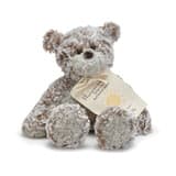 Mini Giving Bear 8.5" Feel Better Soon! - You’ll find that big things truly come in small packages when getting to know the Giving Bear. This Giving Bear is not only the furriest side-kick but also the most endearing and comes with a message of well wishes. 