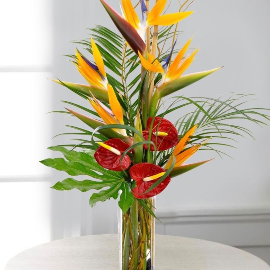 Tropical arrangement with bird of paradise and red anthuriums in a clear vase